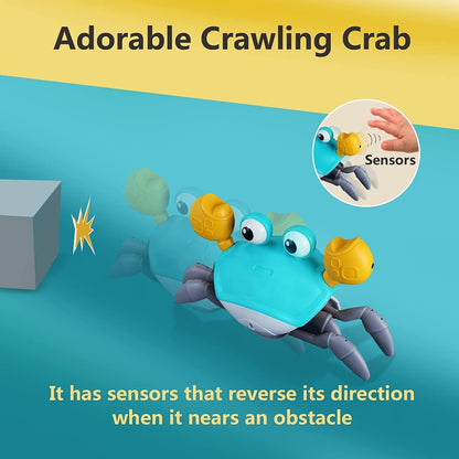 Crawling Crab Musical Toys