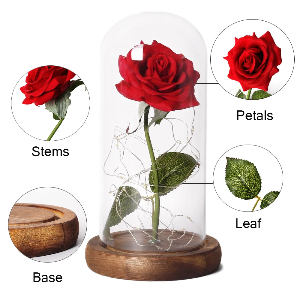 Galaxy Rose Forever Flower In LED Glass Dome